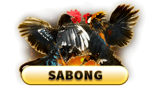 jilibetph sabong