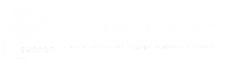 pagcor logo